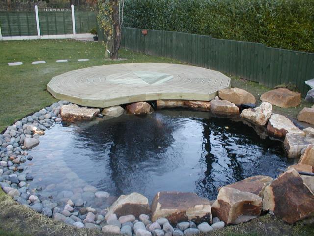 022.JPG